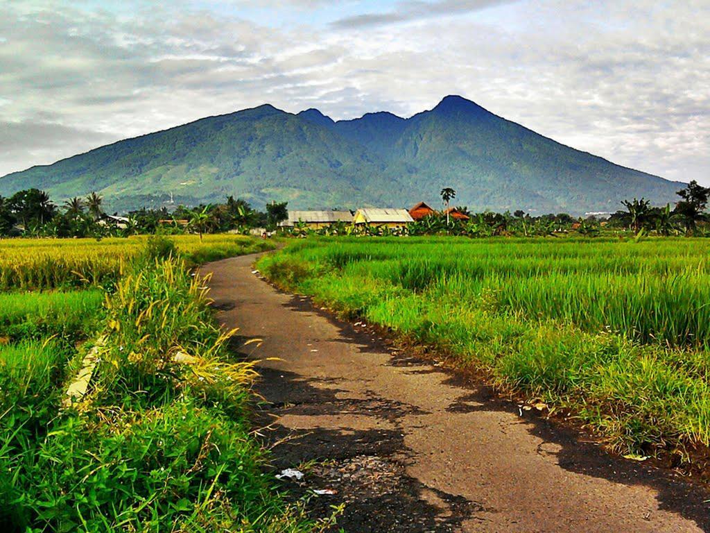 Bogor Valley Hotel Экстерьер фото