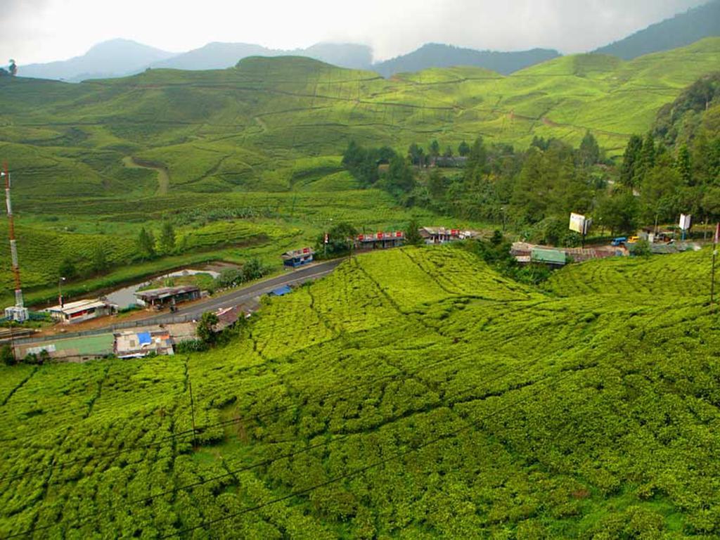 Bogor Valley Hotel Экстерьер фото