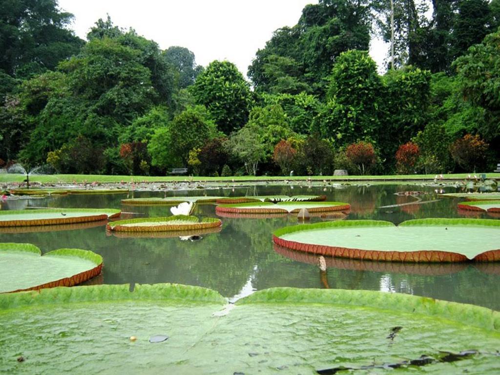 Bogor Valley Hotel Экстерьер фото